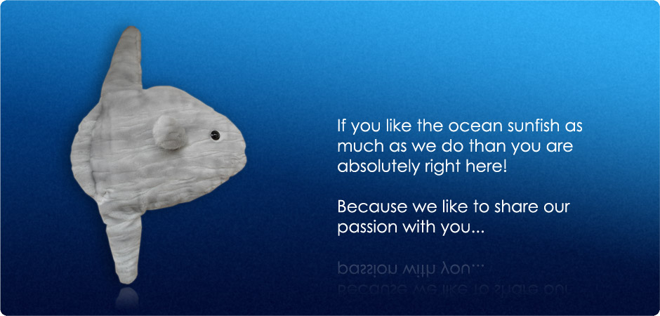 Startpicture with Softtoy Sunfish (Mola Mola)